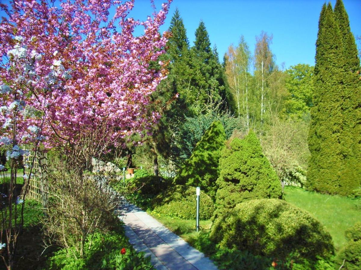 Ostsee Hotel-Pension An Der Lindenallee Bad Doberan Εξωτερικό φωτογραφία