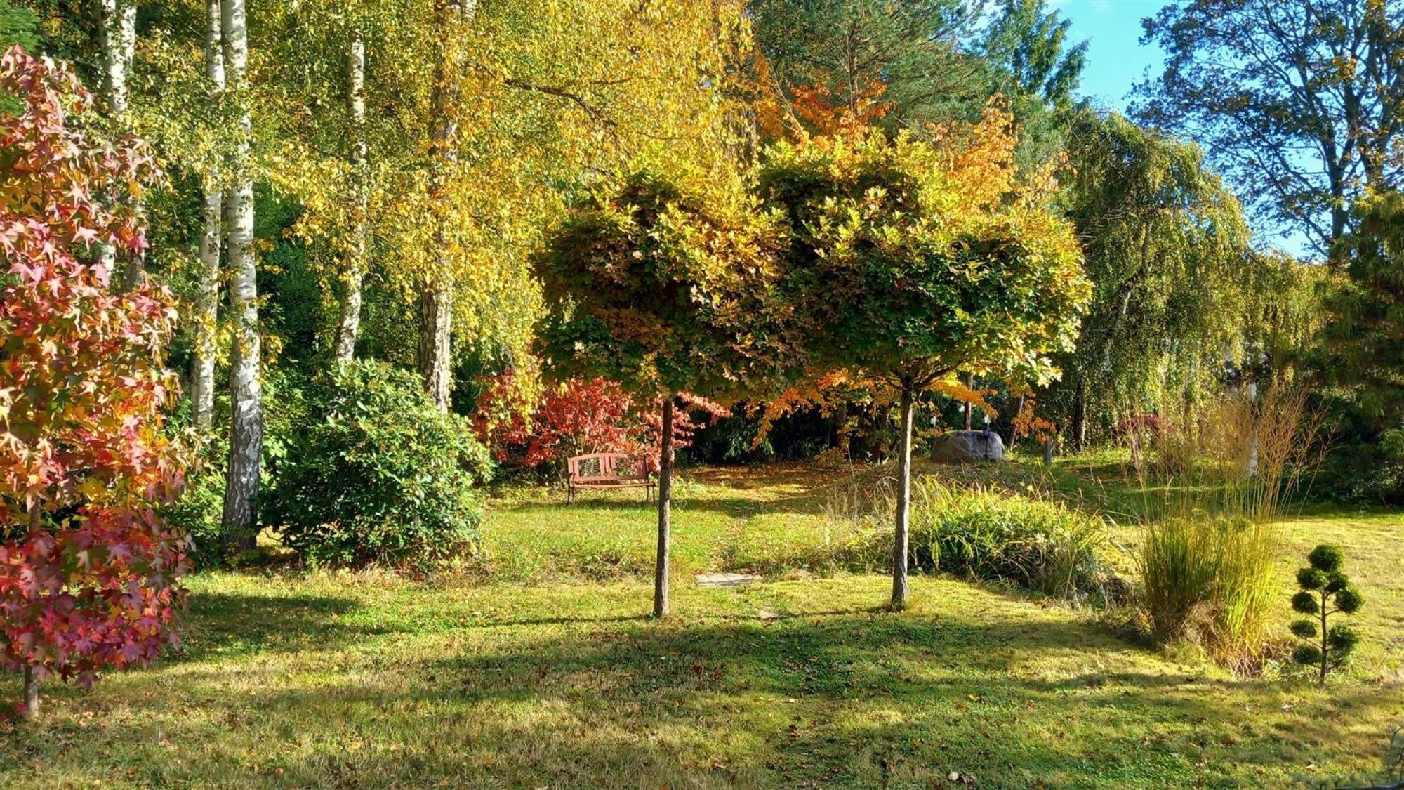 Ostsee Hotel-Pension An Der Lindenallee Bad Doberan Εξωτερικό φωτογραφία