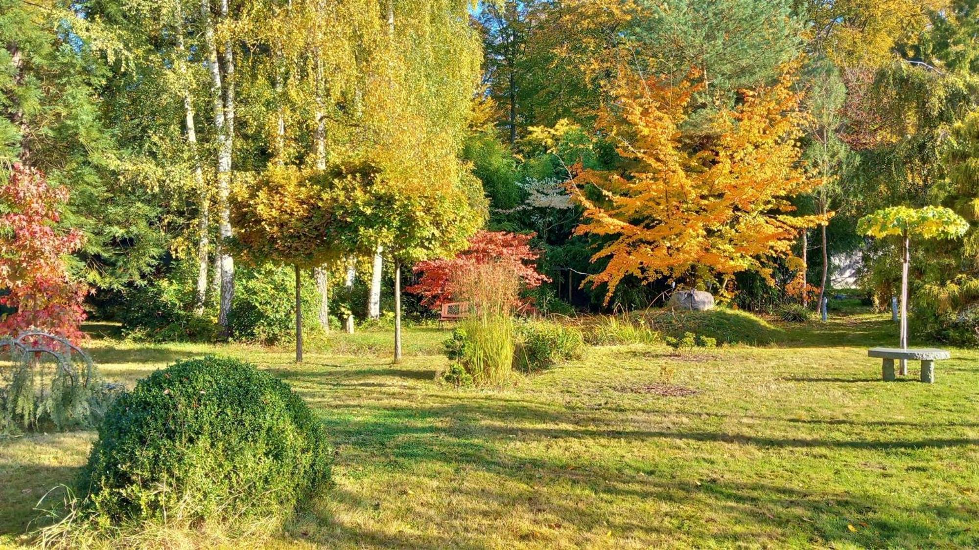 Ostsee Hotel-Pension An Der Lindenallee Bad Doberan Εξωτερικό φωτογραφία